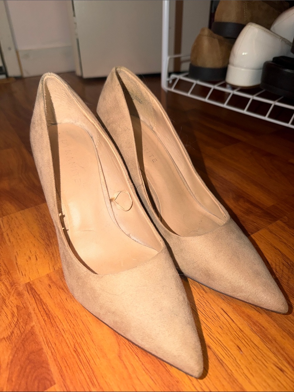 Classic Pointed Toe Suede Pumps in Taupe